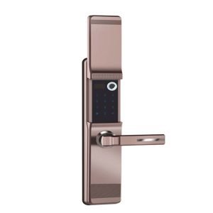 Starlight Smart Door Entrance Lock with Fingerprint antique brass
