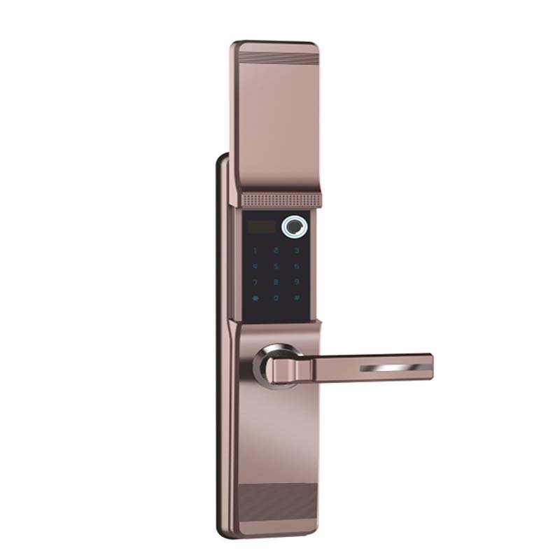 Starlight Smart Door Entrance Lock with Fingerprint antique brass
